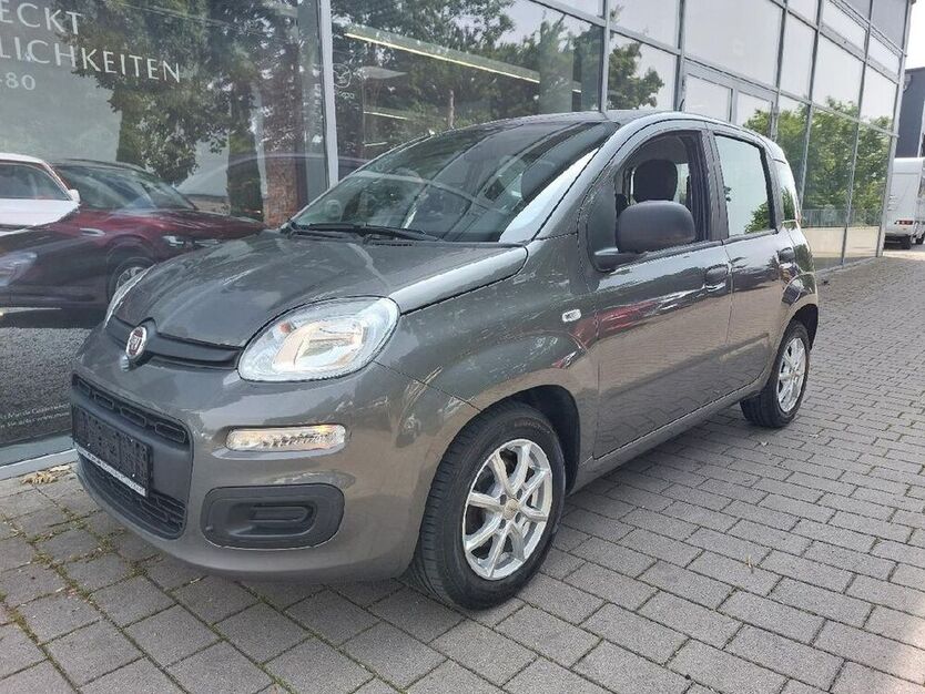 Panda