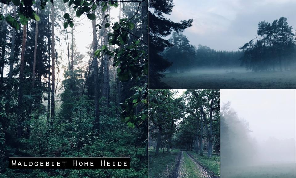 Gewerbeobjekt Pritzwalk - 60&euro; | Angebot:17400172