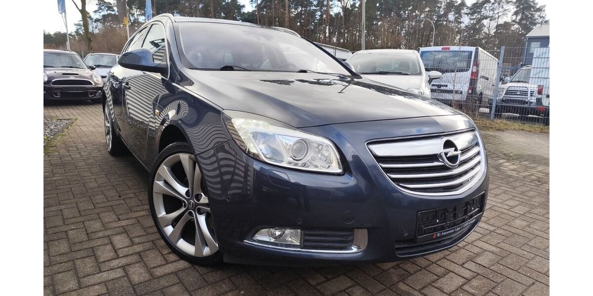 Opel Insignia 115.924 km 5.950 &euro; Schlangen 33189