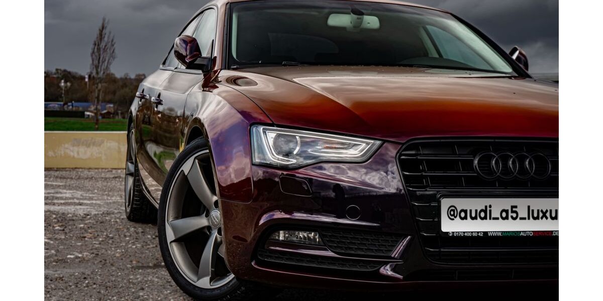 Audi A5 210.000 km 12.999 &euro; Jagsthausen 74249