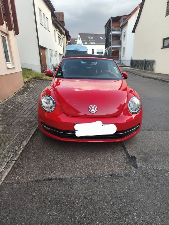 Beetle