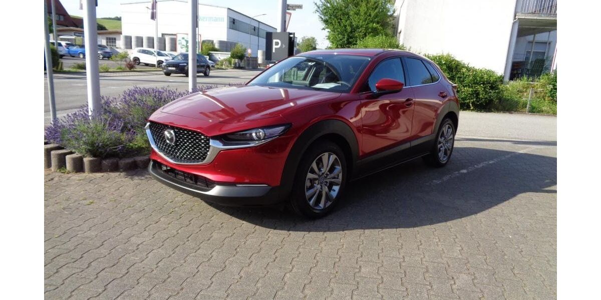 Mazda CX-30 2.764 km 30.990 &euro; Birkenau 69488