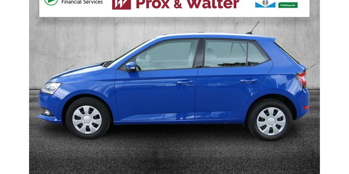 Skoda Fabia 1.0 MPI Cool Plus KLIMA+SITZHEIZUNG 130.693 km 7.900 &euro; Hagenow 19230