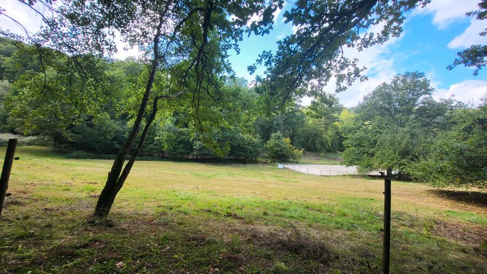 Bauernhaus, Landhaus Zweibrücken - 6 Zimmer, 160 m&sup2;, 290.000&euro; | Angebot:26343403