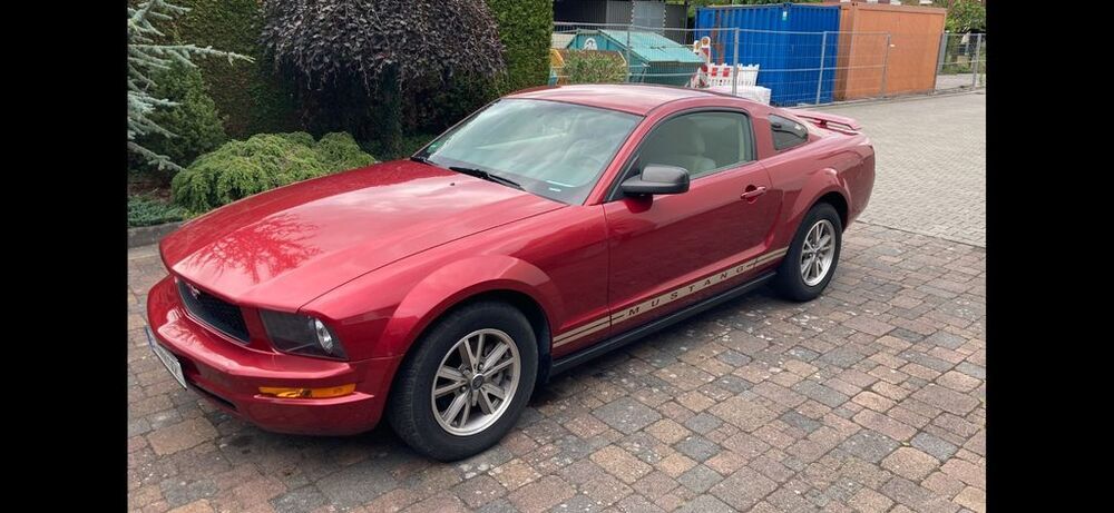 Mustang