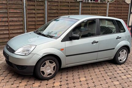 Ford Fiesta 164.200 km 1.490 € Neuburg am Rhein 76776
