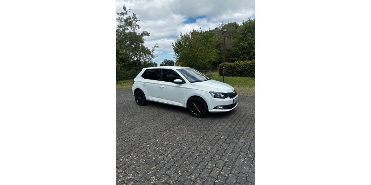 Skoda Fabia 130.250 km 8.979 &euro; Buchholz 53567