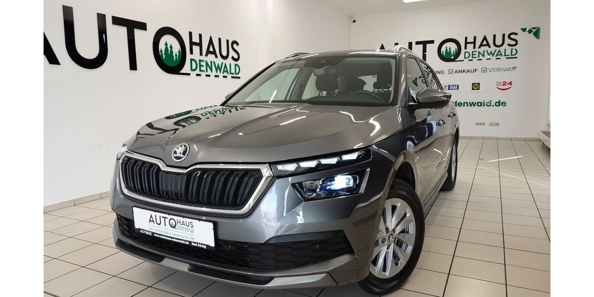 Skoda Kamiq 44.800 km 19.990 &euro; Bad König 64732