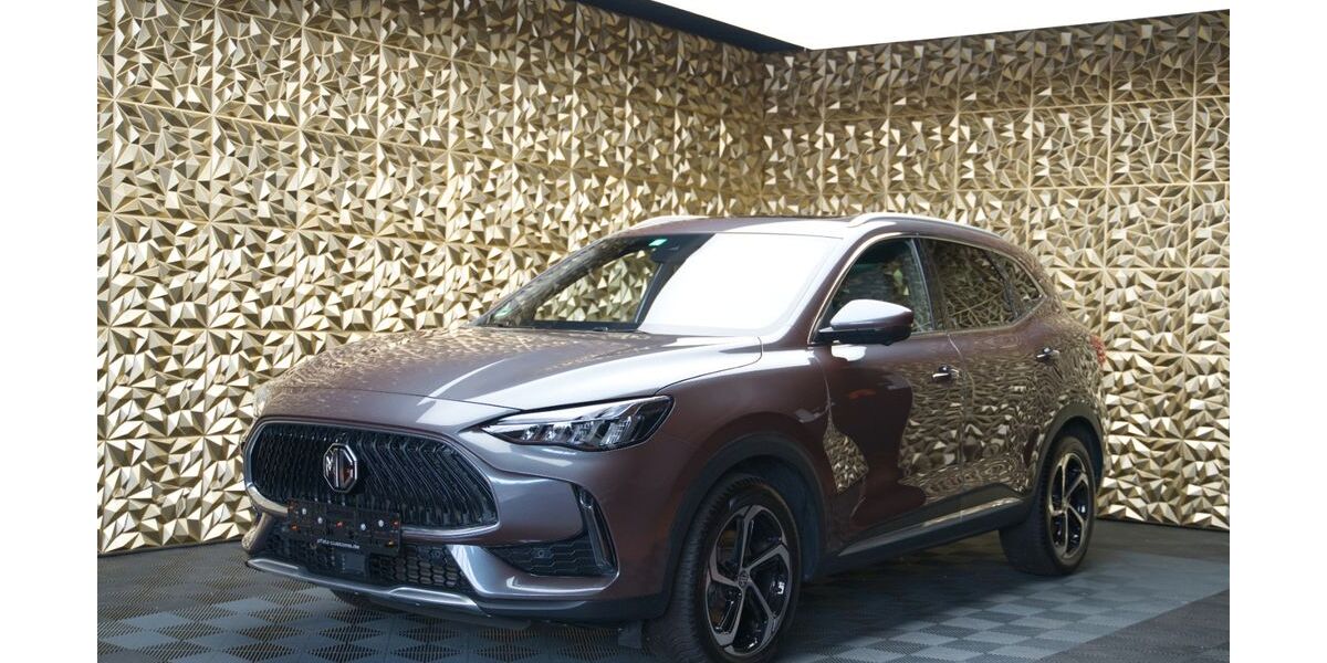 MG HS 31.569 km 27.190 &euro; Haßloch 67454