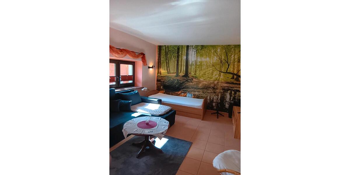Etagenwohnung Grimma - 1 Zimmer, 39 m&sup2;, 400&euro; | Angebot:26426377