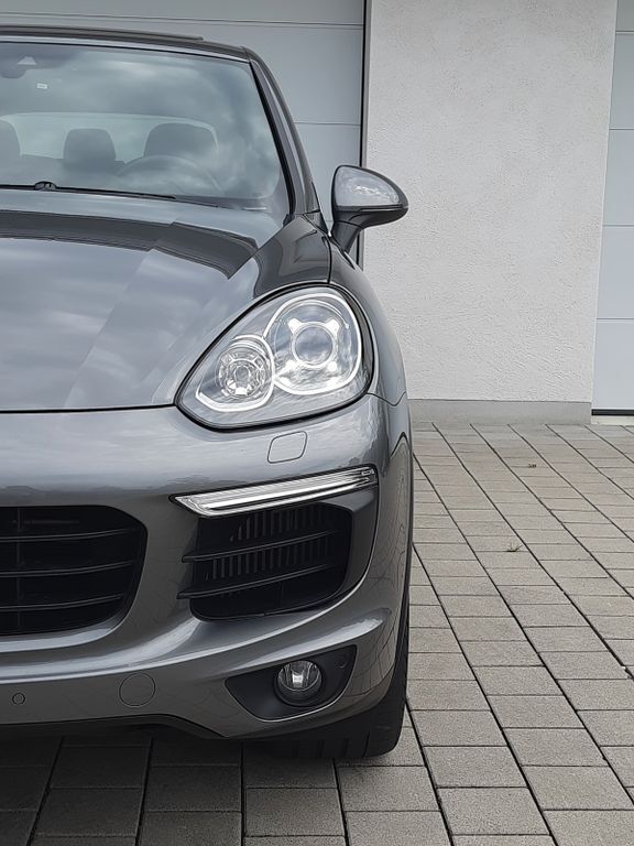 Cayenne