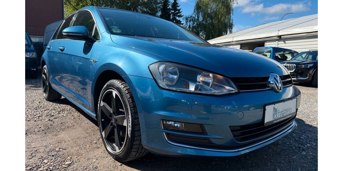 VW Golf 176.960 km 8.790 &euro; Hamburg 22179