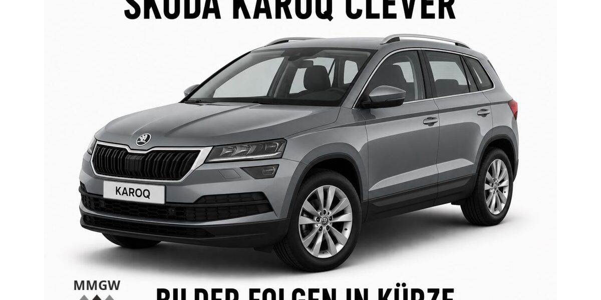 Skoda Karoq 90.323 km 22.990 &euro; Bensheim 64625