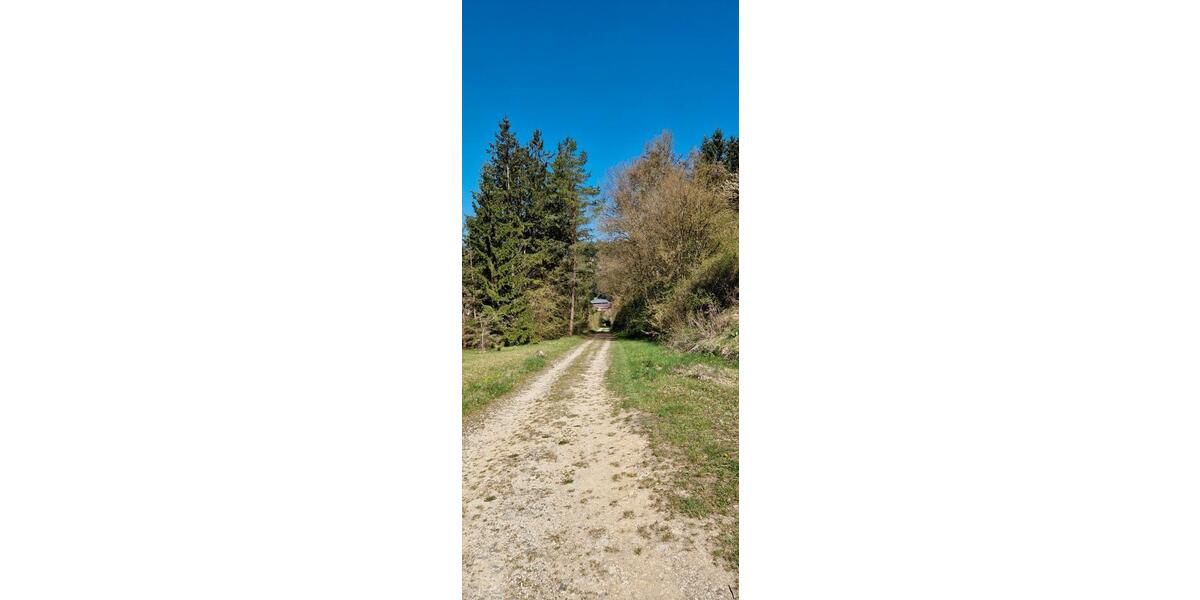 Einfamilienhaus Engen - 9 Zimmer, 250 m&sup2;, 599.000&euro; | Angebot:26754582