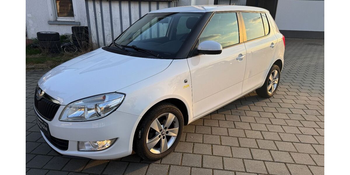 Skoda Fabia 143.000 km 3.990 &euro; ERTINGEN 88521