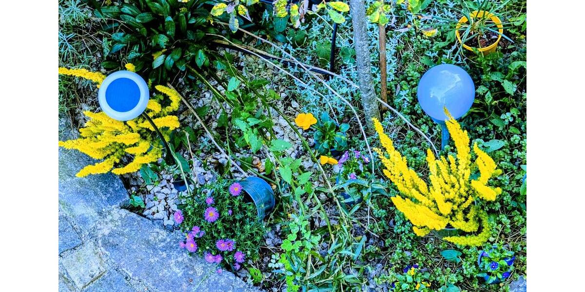 Maisonettenwohnung Landsberg am Lech Ellighofen - 2 Zimmer, 40 m&sup2;, 1.150&euro; | Angebot:26042063