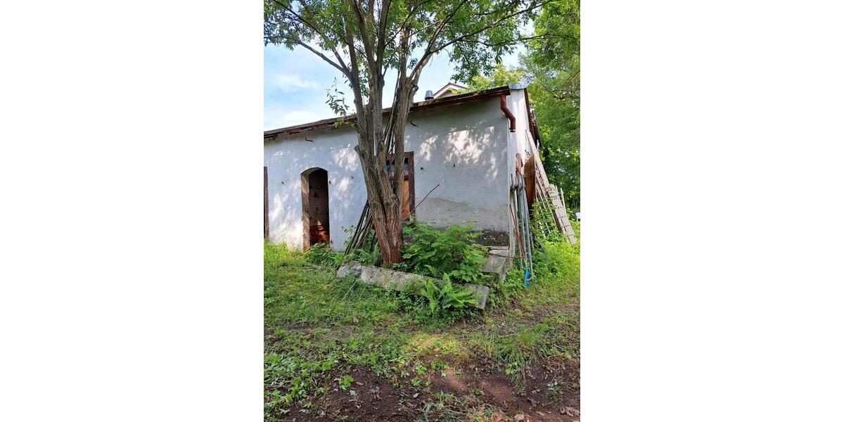 Mehrfamilienhaus, Wohnhaus Zeulenroda-Triebes Triebes - 12 Zimmer, 320 m&sup2;, 108.000&euro; | Angebot:27233326