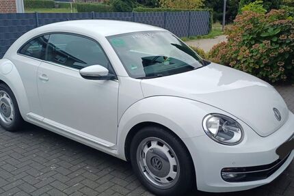 VW Beetle 101.000 km 9.900 € Verl 33415