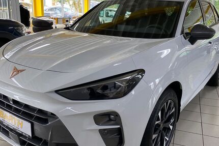 Cupra Terramar 7.900 km 36.790 &euro; Erbach 64711