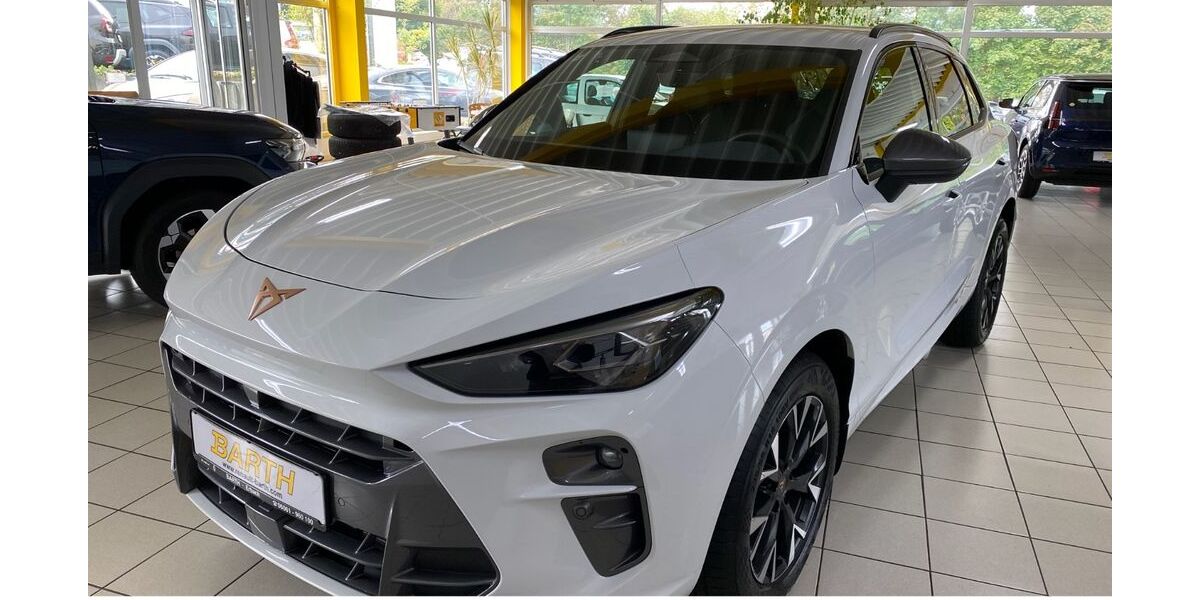 Cupra Terramar 7.900 km 36.790 &euro; Erbach 64711