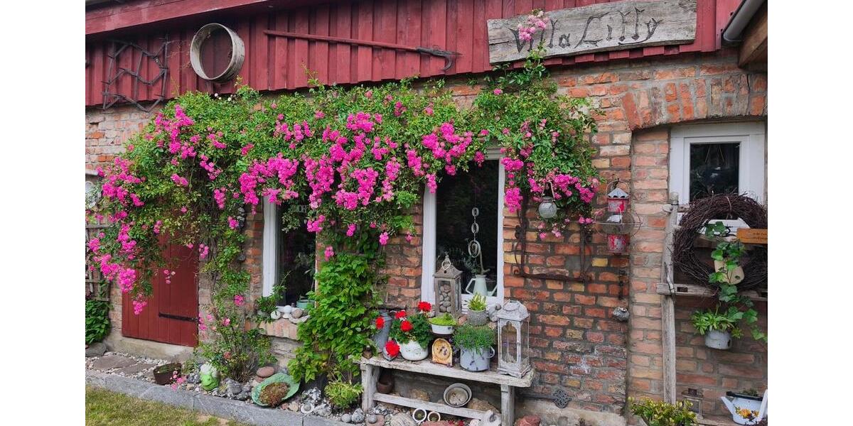 Einfamilienhaus Korswandt - 3 Zimmer, 110 m&sup2;, 329.000&euro; | Angebot:26441104