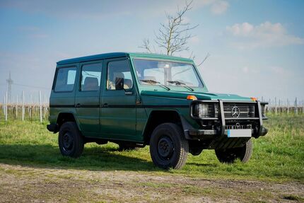 Mercedes-Benz G 300 4.000 km 38.400 &euro; Siebeldingen 76833