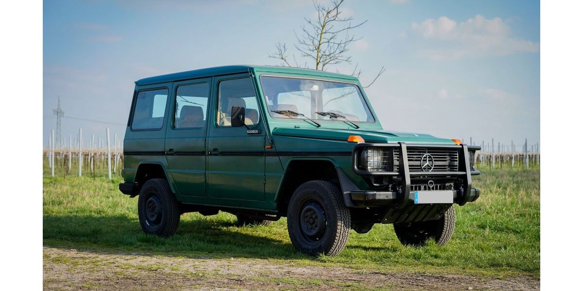 Mercedes-Benz G 300 4.000 km 38.400 &euro; Siebeldingen 76833