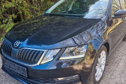 Skoda Octavia 230.000 km 7.500 &euro; Johanngeorgenstadt 08349