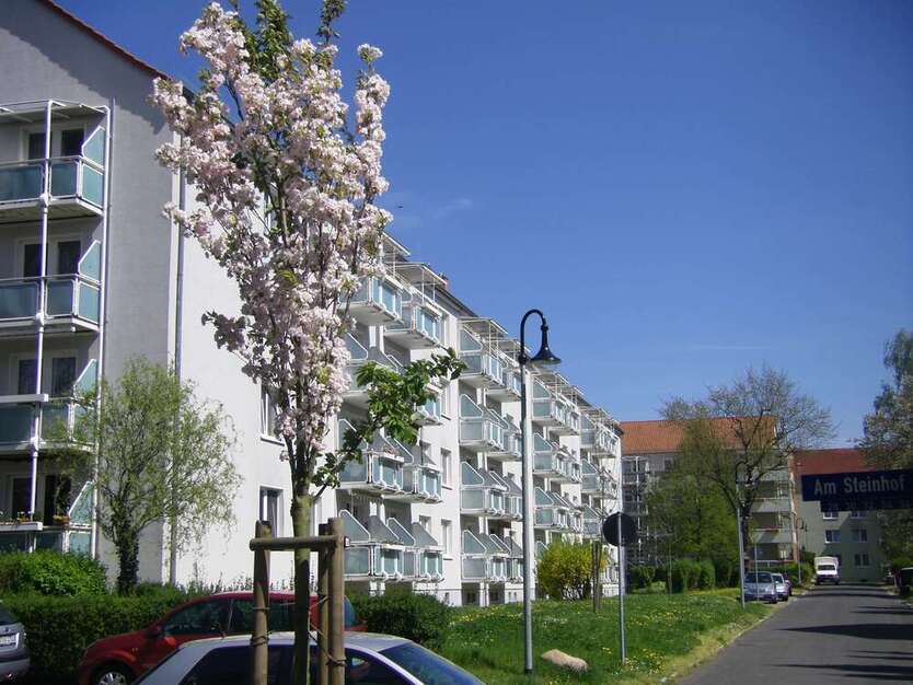 Wohnung zum Mieten in Wurzen 375 € 60.45 m²