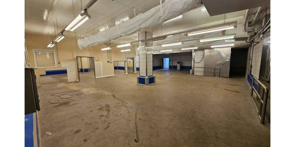 Gewerbeobjekt Grimma Mutzschen - 1.900.000&euro; | Angebot:25958961