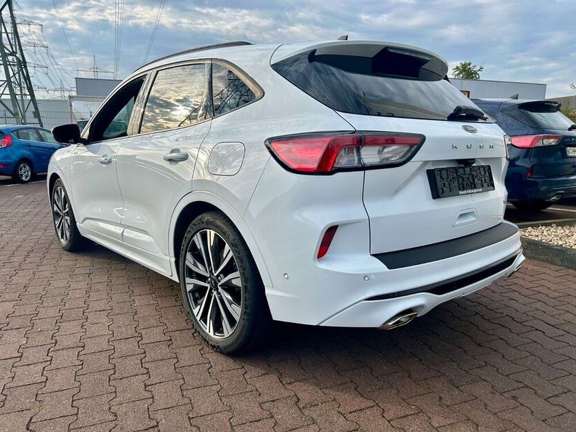 Kuga