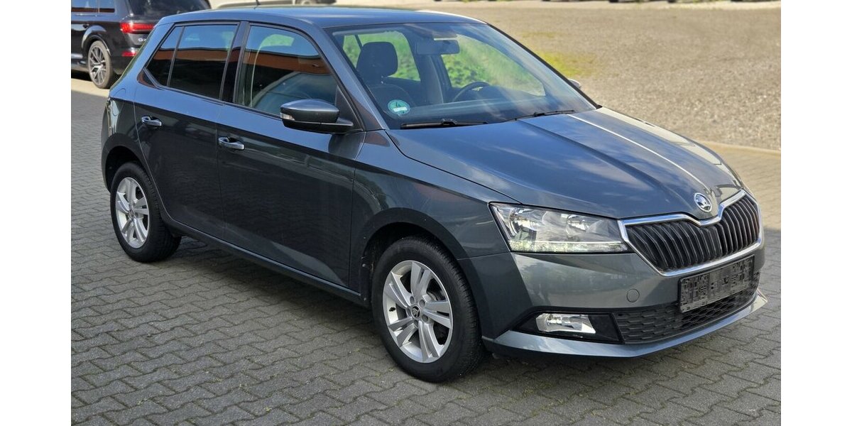 Skoda Fabia 1.0 TSI Car-Play/Android-Auto/Kamera 90.145 km 7.950 &euro; Wilsdruff 01723