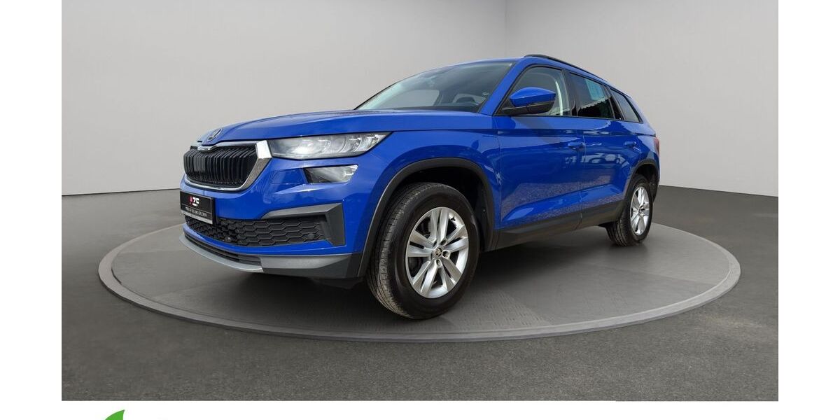Skoda Kodiaq 125.150 km 24.890 &euro; Schleswig 24837