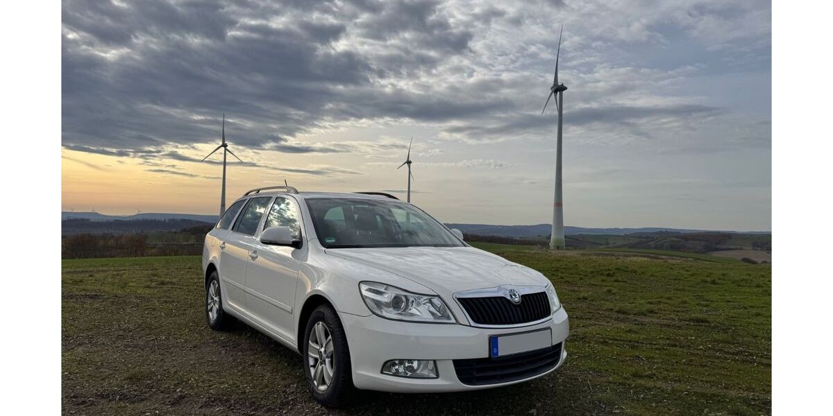 Skoda Octavia 225.000 km 5.800 &euro; Hattorf am Harz 37197