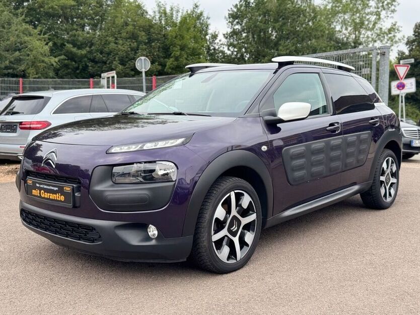 C4 Cactus