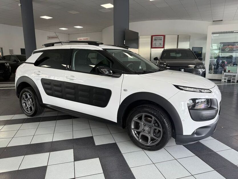 C4 Cactus