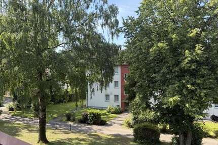 Wohnung Gütersloh Sundern - 3 Zimmer, 65 m&sup2;, 595&euro; | Angebot:26924299