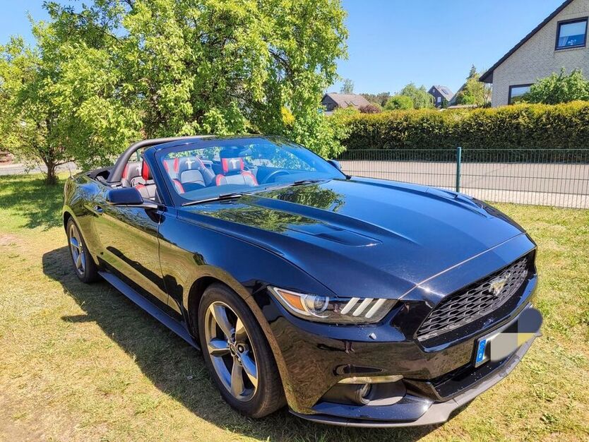 Mustang