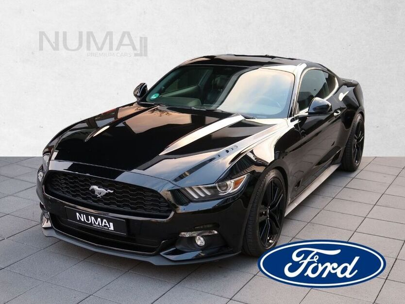 Mustang