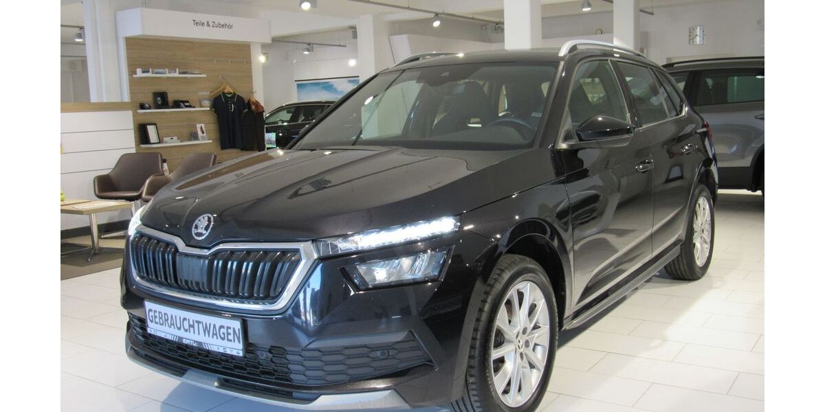 Skoda Kamiq 113.512 km 19.850 &euro; Döbeln 04720
