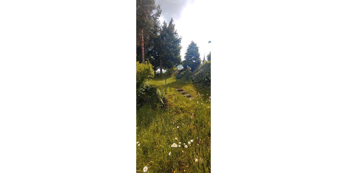 Erdgeschoßwohnung Schönberg - 2 Zimmer, 60 m&sup2;, 500&euro; | Angebot:25172831