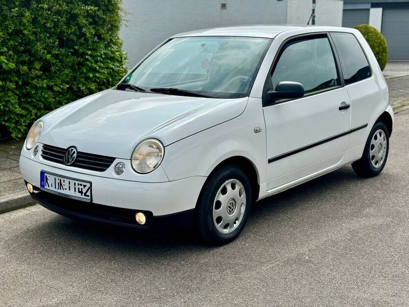 Lupo