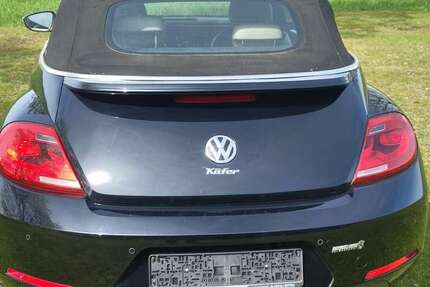 VW Beetle 203.000 km 7.500 &euro; Cammer (Bückeburg) 31675