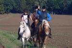 Ferienimmobilie Natendorf - 500&euro; | Angebot:25382698