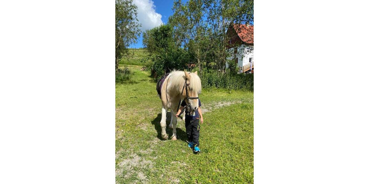 Bauernhaus, Landhaus Stockach - 6 Zimmer, 170 m&sup2;, 930.000&euro; | Angebot:25142462