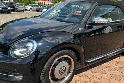 VW Beetle