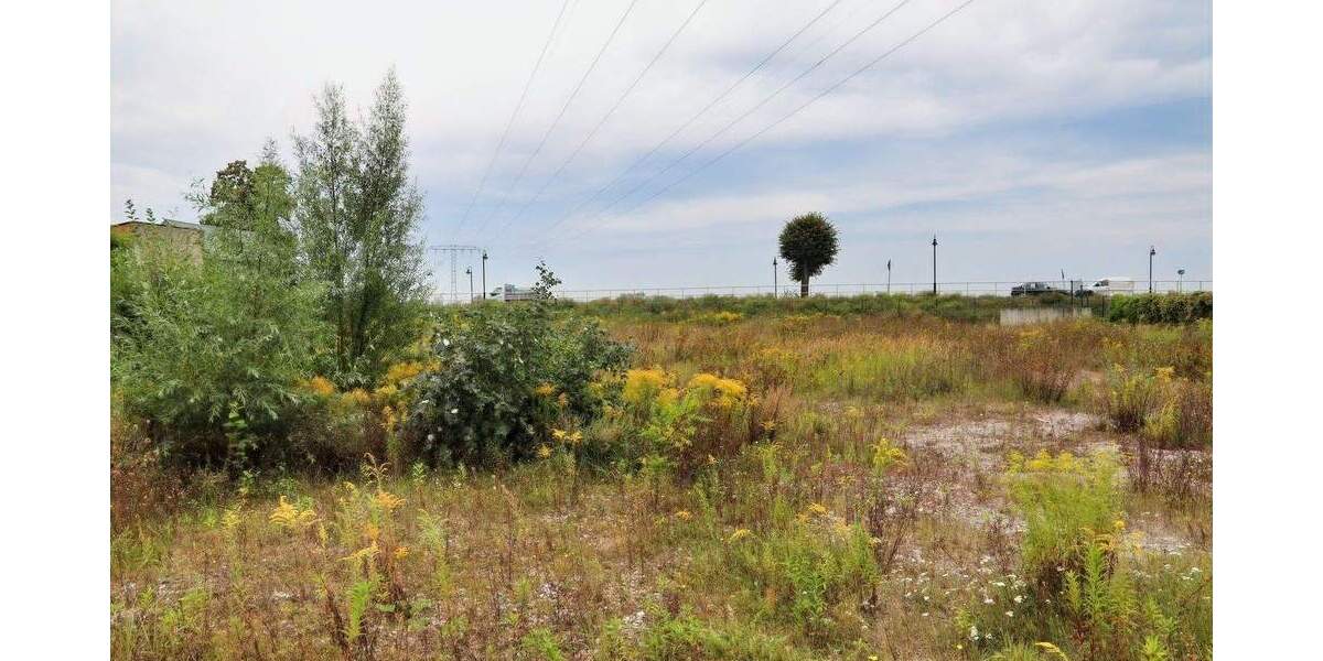 Grundstück Bad Freienwalde Neuenhagen - 319.000&euro; | Angebot:25801966