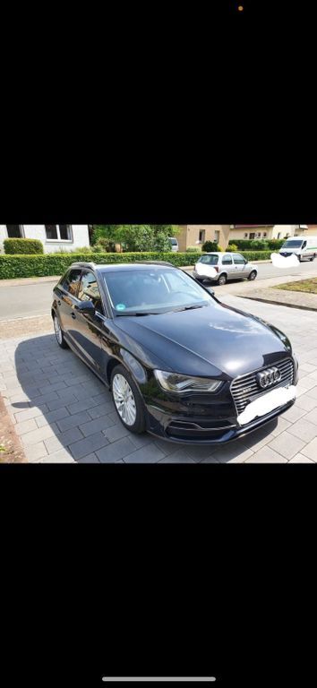A3