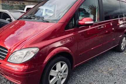 Mercedes Viano