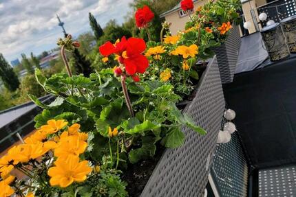 Haus Frankfurt am Main Nord-West - 3 Zimmer, 75 m&sup2;, 2.350&euro; | Angebot:25378034